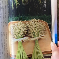 伊勢神宮の本（神宮・非売品です）の画像