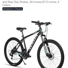 アバスタ AV300, Avasta AV 300
の画像