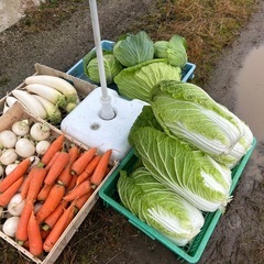 新鮮野菜をお安くの画像