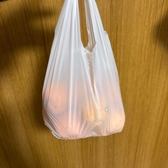 訳ありみかん　　の画像