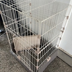 猫のケージ　の画像