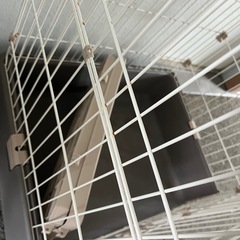 猫のケージ　の画像