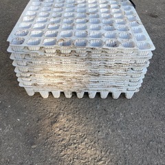 機械植えセルトレーの画像