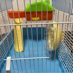 ハムスターゲージ の画像