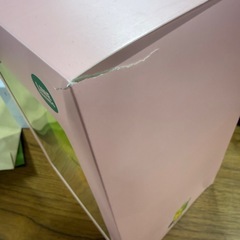 LINEFRIENDS サリー ぬいぐるみの画像