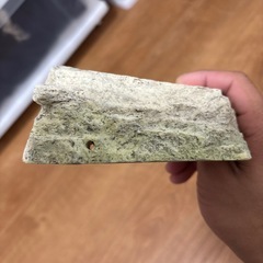 ペット用品の画像