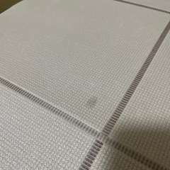 ヨガマットの画像