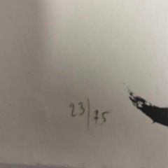 リトグラフ　マルクシャガール　3人の曲芸師の画像