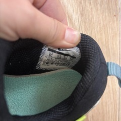 ナイキ　ダイナモ　14cm
の画像