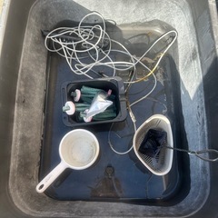 メダカ引退　容器３つの画像