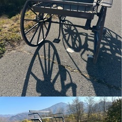 フランス输入馬車120年以上の画像