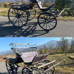 フランス输入馬車120年以上の画像