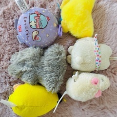 ぬいぐるみの画像