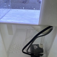 オーバーフロウ水槽 熱帯魚 ライト付きの画像