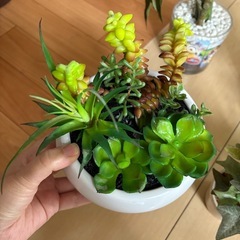人工観葉植物セットの画像