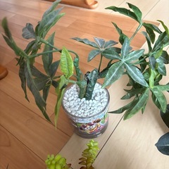人工観葉植物セットの画像