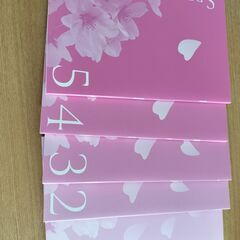 柚香光　スペシャルフォトブック！の画像