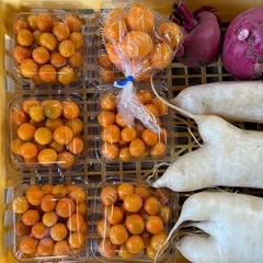 【江南市】(訳あり5種)  掲載量まとめて100円の画像