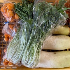 【江南市】(訳あり5種)  掲載量まとめて100円の画像