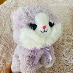 こねこのおいしゃさんの画像