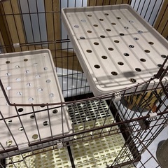 キャットケージの画像