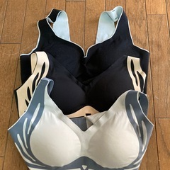 下着ブラジャーの画像