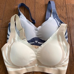 下着ブラジャーの画像