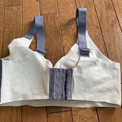 下着ブラジャーの画像