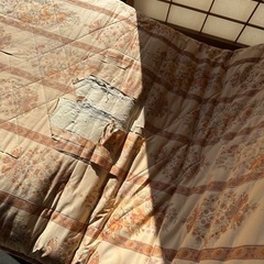 いろいろの画像