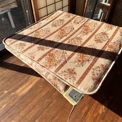 いろいろの画像