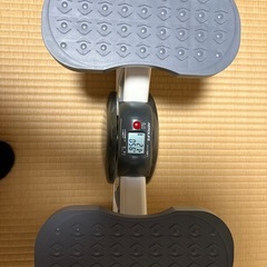 エアロライフ　ステッパーの画像