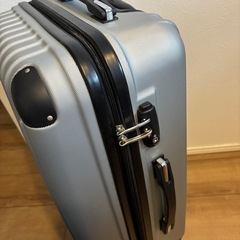 シルバーのキャリーバックの画像
