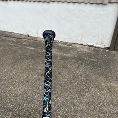 ビヨンドマックスレガシー 2024年カラーの画像