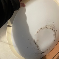 蛍光灯　割れ　汚れ有の画像