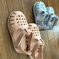 イゴール13㎝、16.5㎝の画像