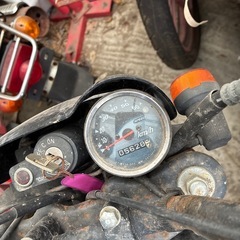 ストリートマジック50 不動の画像