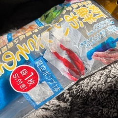 真空ポンプ　真空保存袋Sサイズ1枚付　新品未開封の画像