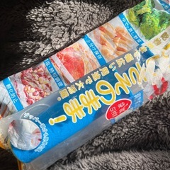 真空ポンプ　真空保存袋Sサイズ1枚付　新品未開封の画像