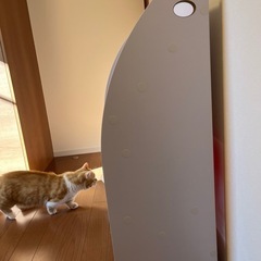 絵本ラックの画像