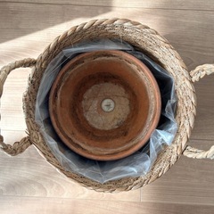 植木鉢6号+カバーセットの画像