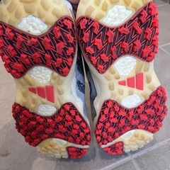 ゴルフシューズ
の画像