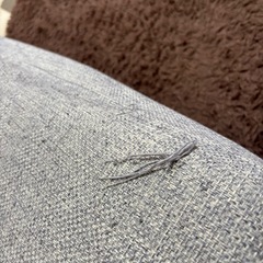 ニトリ　3人がけソファの画像