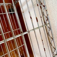 金属ラック、スチールラック、棚の画像