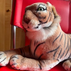 ぬいぐるみの画像