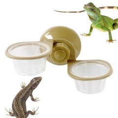 爬虫類餌やり容器トカゲ水ボウル、爬虫類フィーダー, トカゲ餌入れ
の画像