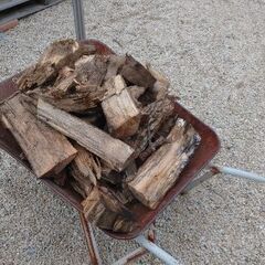 見た目は悪いけど、乾燥している薪の画像