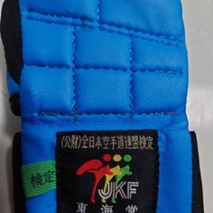 空手　拳サポーターの画像