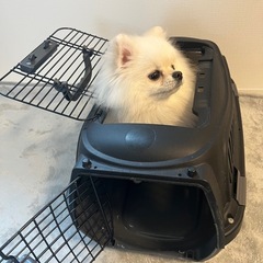 犬用クレート バリケンの画像