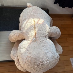 コストコくまの画像