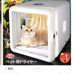 ペットドライヤー  ペットドライルームの画像